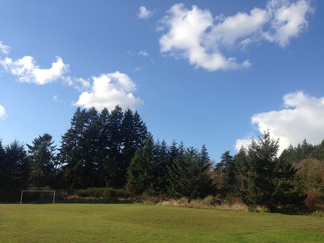 级新星