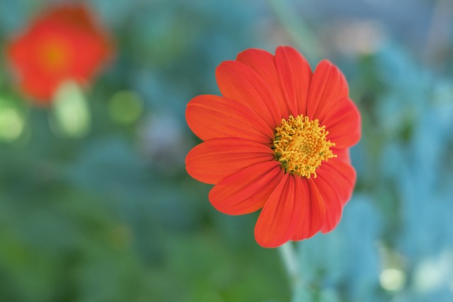 是持续胜利 是持续胜利