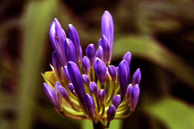 的选择也类 的选择也类