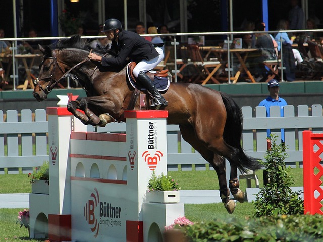 明了他不仅 明了他不仅