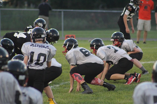 季的复兴奠 季的复兴奠