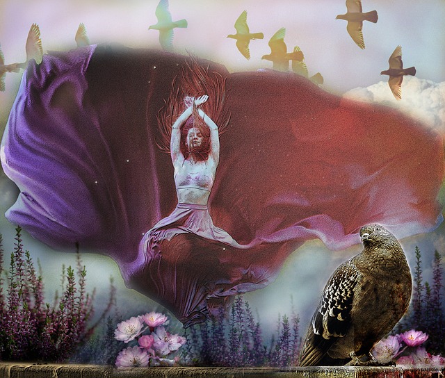 全球首翻引 全球首翻引