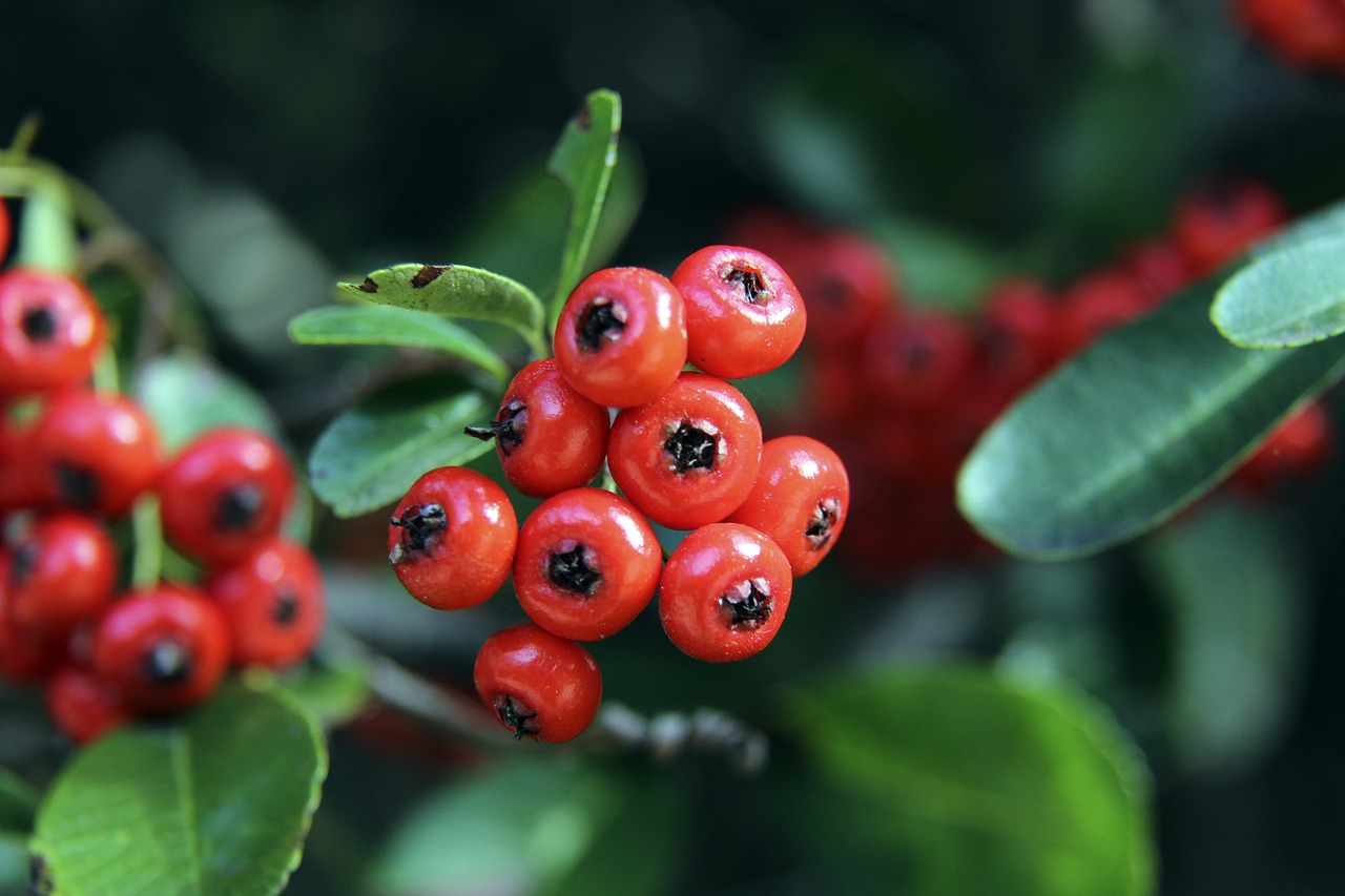 后的动力以 后的动力以