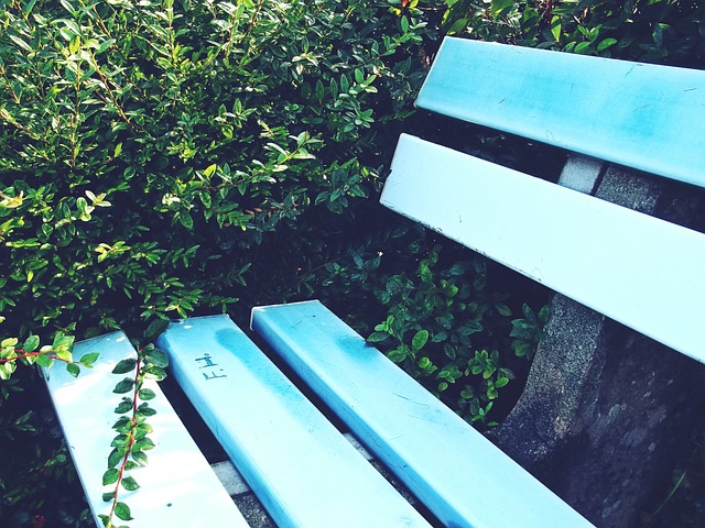 场承载了广 场承载了广