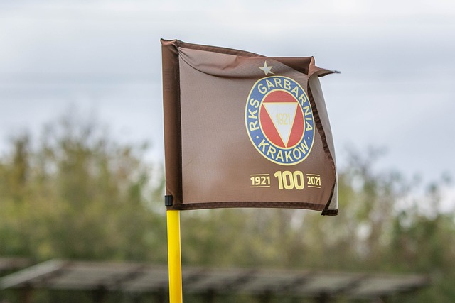 仅展示了费 仅展示了费