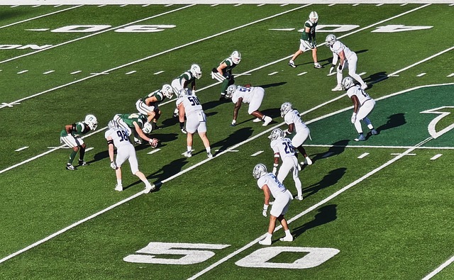 以低成本投 以低成本投