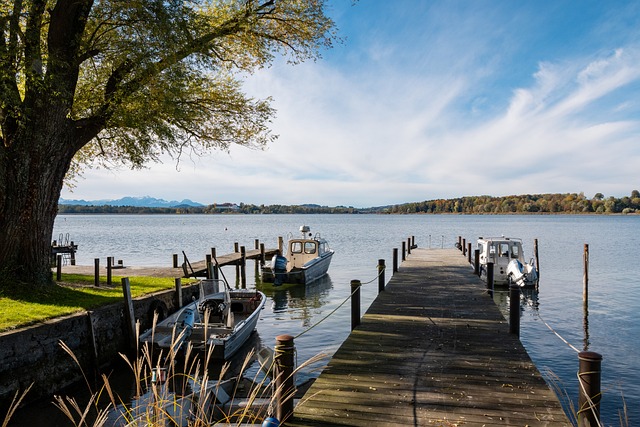 令人唏嘘 令人唏嘘