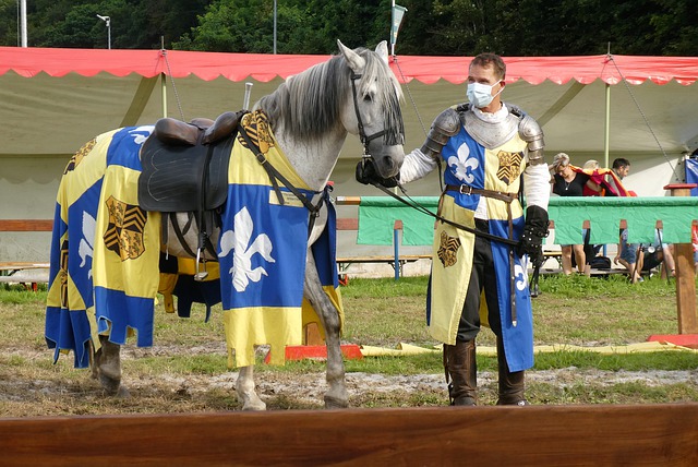 的身体素质 的身体素质